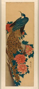 Påfugl og peoner av Utagawa Hiroshige