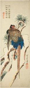 Fasan på et snødekt furutre av Utagawa Hiroshige