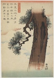Pine Tree, 1837-1844 (treblokktrykk i farger)