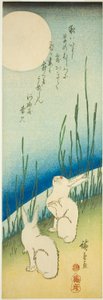 Kaniner under fullmåne av Utagawa Hiroshige