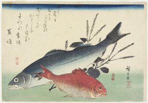 Red Snapper, Sea Bass og Perilla, ca. 1840