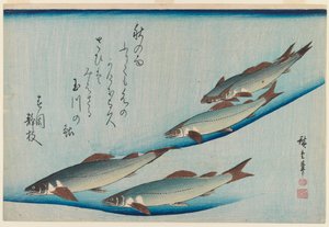 School of Five Seat Trout fra Series Fish, ca. 1835 (treblokk fargetrykk) av Utagawa Hiroshige