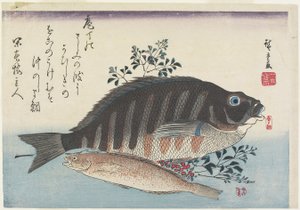 Brasmer, søtfisk og Nandina-grener, ca. 1840