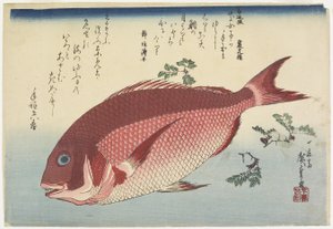 Sea Bream and Sansho_Sprigs, ca. 1832