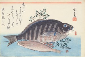 Shimadai og Ainame, fra serien 'The Large Fish', Utagawa School, ca. 1840-42 (treblokk håndfarget trykk på papir)