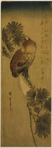 Småhornugle, furu og halvmåne av Utagawa Hiroshige