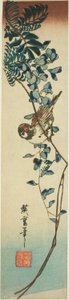 Spurv og blåregn av Utagawa Hiroshige