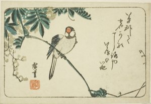 Spurv og blåregn av Utagawa Hiroshige