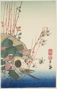 Spurv på en hengende plantekasse av Utagawa Hiroshige