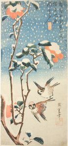 Spurver og kamelia i snø av Utagawa Hiroshige