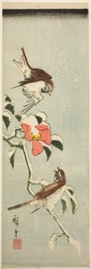 Spurver og kamelia i snø av Utagawa Hiroshige
