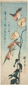 Spurver og valmuer av Utagawa Hiroshige