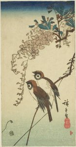 Spurver og blåregn av Utagawa Hiroshige