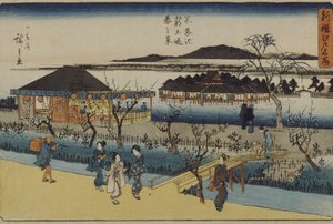 Vårutsikt over den nye demningen ved Shinobazu
