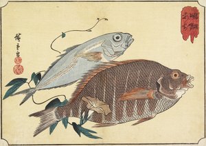 Stripete Snapper og Horse Makrell, tidlig på 1800-tallet