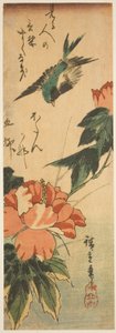Svelge og hibiskus av Utagawa Hiroshige