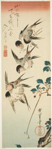 Svaler og kirsebærblomster av Utagawa Hiroshige