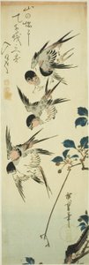 Svaler og blomstrende gren av Utagawa Hiroshige
