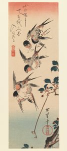 Tanzaku, Fire svaler, 1832 (farget treblokktrykk) av Utagawa Hiroshige