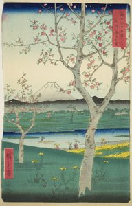 The Outskirts of Koshigaya i Musashi-provinsen (Musashi Koshigaya zai), fra serien "Thirty-six Views of Mount Fuji (Fuji sanjurokkei)" av Utagawa Hiroshige
