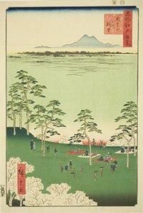Utsikt mot nord fra Asuka Hill (Asukayama kita no chobo), fra serien "One Hundred Famous Views of Edo (Meisho Edo hyakkei)" av Utagawa Hiroshige