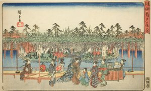 Wisteria at Kameido (Kameido Tenjin fuji hana), fra serien "Famous Places in the Eastern Capital (Toto meisho)" av Utagawa Hiroshige