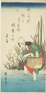 Kvinne som samler tang av Utagawa Hiroshige