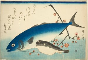 Gulhale, blåsefisk og plommegren av Utagawa Hiroshige