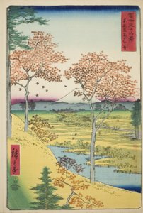 Yuhi Hill ved Meguro i den østlige hovedstaden (Toto Meguro Yuhigaoka), fra serien "Thirty-six Views of Mount Fuji (Fuji sanjurokkei)" av Utagawa Hiroshige
