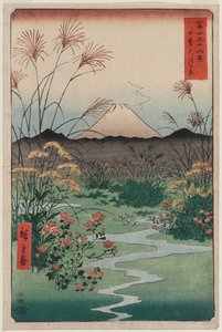 ōtsuki Plain i Kai-provinsen (Kai ōtsuki no hara), fra serien Thirty-six Views of Mount Fuji av Utagawa Hiroshige