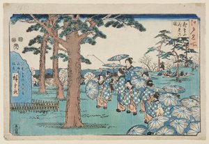 Visning av kirsebærblomster ved Asuka Hill (Asukayama hanami no zu) (farget treblokktrykk)