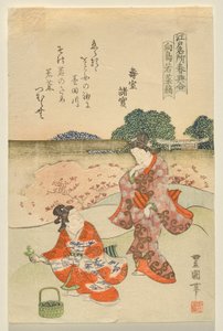 Herb Gathering at Muk?jima, fra serien Famous Edo Sites at Springtime