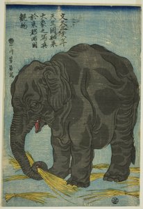 Bilde av stor elefant fra India (Tenjiku hakurai dai zo no shashin), en attraksjon ved Ryogoku i den østlige hovedstaden (Toto Ryogoku mimono)