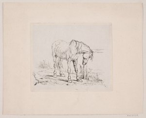 En gammel hest av Valdemar Irminger
