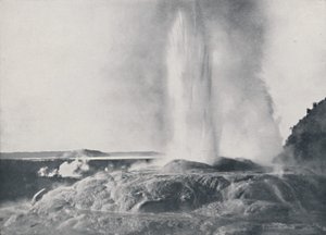 Geyser, New Zealand, 1924 av Valentine and Sons Ltd