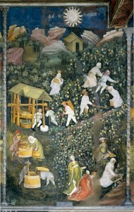 Oktober: høstingsscene, høsting av druer og tilberedning av mout (vinpressing). Maleri av Månedens Mester eller Mester Wenceslas (Maestro dei Mesi eller Maestro Wenceslao på italiensk, begynnelsen av 1400-tallet) restaurert av Marcello Fogolino ca.
