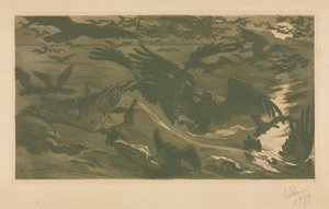 Rovfugler, 1893.