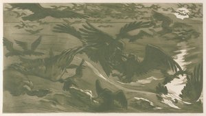 Rovfugler, 1893.