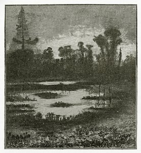 Twilight Songs, 1800-tallet (bw-gravering) av Victor Hugo
