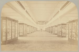 Pl. III. Hovedhistorie: Fugler