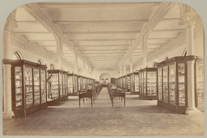 Pl. V. Øvre historie: Fossiler