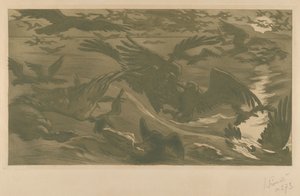 Rovfugler, 1893.