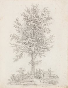  av Victoria Åberg