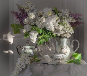  av Viktor Cherkasov