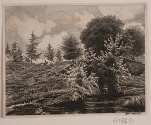 Bakker ved en myr av Vilhelm Kyhn