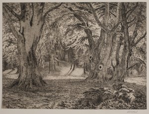 Det indre av en skog av Vilhelm Kyhn