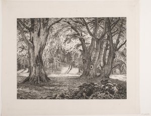 Det indre av en skog av Vilhelm Kyhn