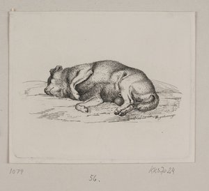 En løgnaktig hund av Vilhelm Kyhn