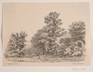 Utkanten av en skog av Vilhelm Kyhn