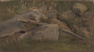 Studie av en steinhaug av Vilhelm Petersen